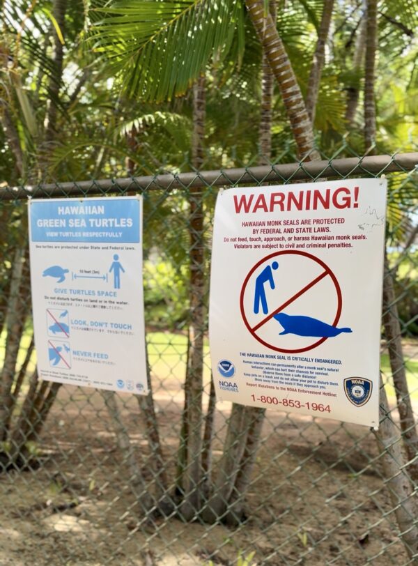 Sign on an Oʻahu beach reminding visitors to stay back from endangered Hawaiian monk seals and sea turtles